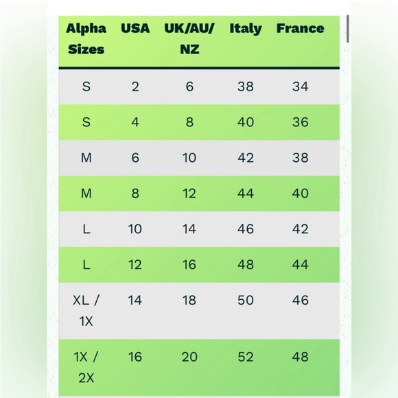 NWT Vionnet Paris Silk Tunic Dress Orange Red SZ 42 - Picture 14 of 16